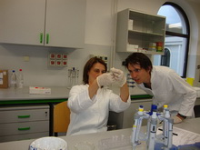 Obuka septembar 2013